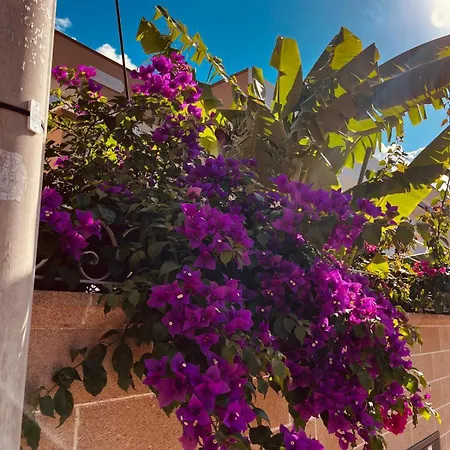 Holiday home Garden