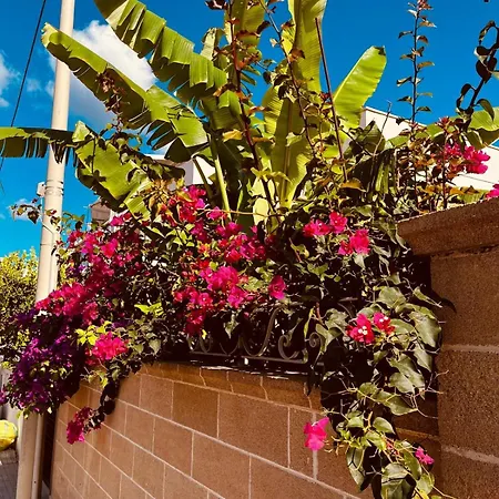 Holiday home Garden
